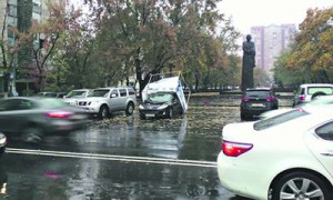 В Киеве из-за шторма падали деревья, летали палатки и разбивался транспорт В Киеве из-за шторма падали деревья, летали палатки и разбивался транспорт
